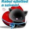 sziv1.jpg